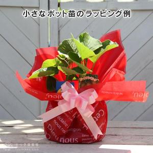 簡易ラッピングの詳細画像2