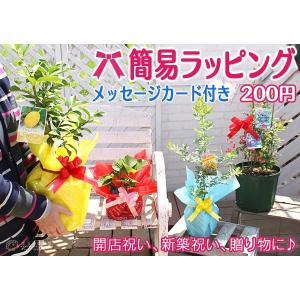 簡易ラッピングの詳細画像5