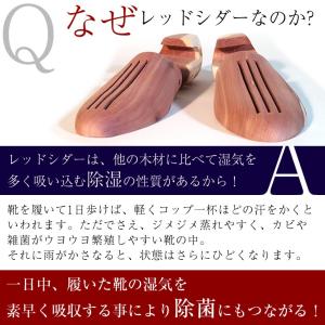シューキーパー 木製 メンズ シューツリー レ...の詳細画像2