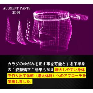 磁気パンツ メンズパンツ下着 男性用下着 ボク...の詳細画像4