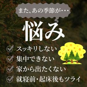 鼻 スッキリ お香 花粉 対策 リフレッシュ ...の詳細画像2