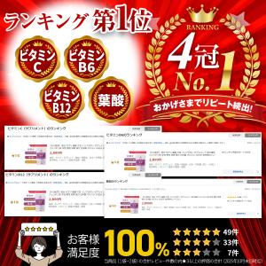 鉄分 サプリ フェリチン鉄 葉酸 大豆 イソフ...の詳細画像1