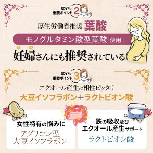鉄分 サプリ フェリチン鉄 葉酸 大豆 イソフ...の詳細画像5
