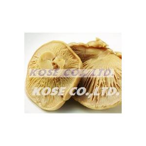 山あわび 白霊茸 全形 ヤマアワビハクレイダケ 白霊茹 1缶 850g Professional Foods 通販 Yahoo ショッピング