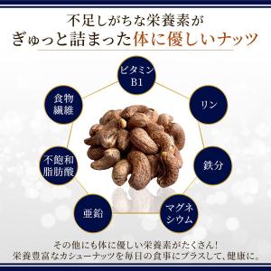 【プレミアムジャンボ】皮付きカシューナッツ 単...の詳細画像5