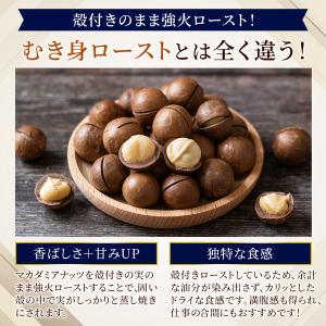 《3本セット》殻付きマカダミアナッツ ボトルタ...の詳細画像2
