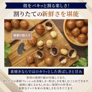 《3本セット》殻付きマカダミアナッツ ボトルタ...の詳細画像3