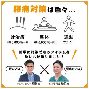 メール便対応 中敷き 腰痛 骨盤 姿勢 衝撃吸...の詳細画像4