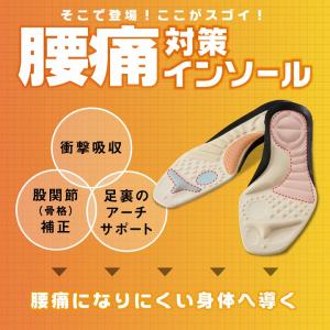 メール便対応 中敷き 腰痛 骨盤 姿勢 衝撃吸...の詳細画像5