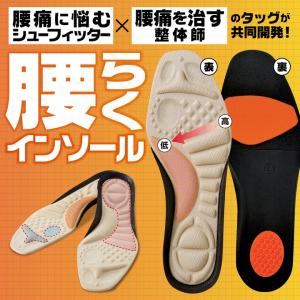 メール便対応 中敷き 腰痛 骨盤 姿勢 衝撃吸...の詳細画像2