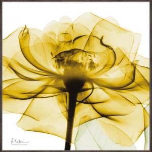 ユーパワー X RAY キャンバスアート「ゴールデンローズ(スクエアS)」  XR-05801