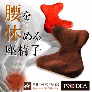 Style Dr.CHAIR スタイルドクターチェア ボディメイクシート スタイル