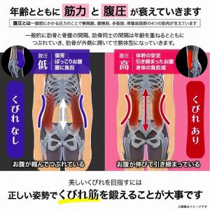 くびれ EMSベルト ヨガ ダイエット ヨガク...の詳細画像4