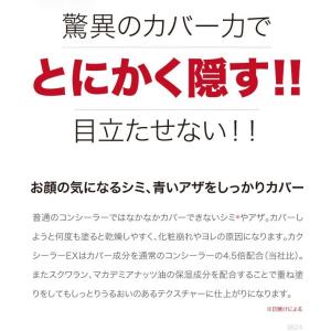 メール便対応 父の日 アザ、キズ跡、刺青、タト...の詳細画像2
