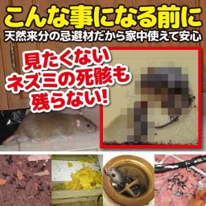 ネズミ ねずみ 害獣 退治 ねずみ忌避剤 ラッ...の詳細画像3