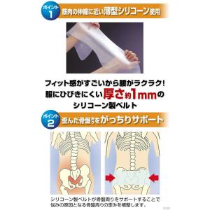 父の日 父の日ギフト 骨盤ベルト サポーター ...の詳細画像2