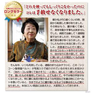 父の日 父の日ギフト 骨盤ベルト サポーター ...の詳細画像4