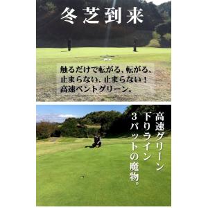 日本製 パターマット工房 30cm×3m EX...の詳細画像1