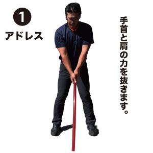 二重振り子習得 赤い×重い しなルンです 1k...の詳細画像3
