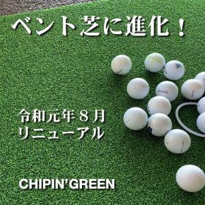 屋外可・ アプローチ&パット専用人工芝 チップ...の詳細画像4
