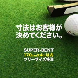 フリーサイズ特注 SUPER-BENT 最大170cm×400cm 以内 寸法はお客様指定 日本製 事業所宛配送限定 期間限定｜progolf