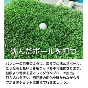 深ラフ芝 ゴルフ練習マット 小 20cmx50...の詳細画像4