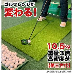 [訳ありアウトレット]【高重量10.5kg・第...の詳細画像3