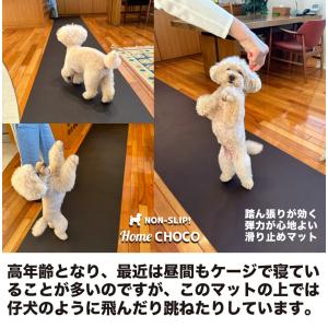 愛犬のための室内用 滑り止めマット HOME ...の詳細画像5
