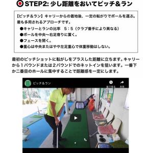 アプローチ 練習 3点セット PGSチッピング...の詳細画像5