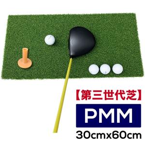 高密度ゴルフマット PMM30cmx60cm 第三世代芝 ゴムティー1個付き 業務用 高品質 人工芝マット Aセット｜progolf