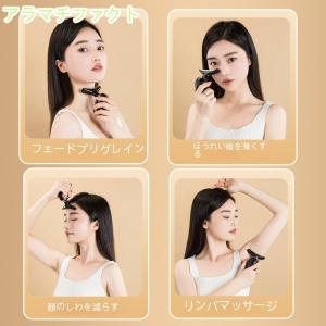 フェイスパーフェクション ビオーラ 電動美顔器 フェイスパーフェク