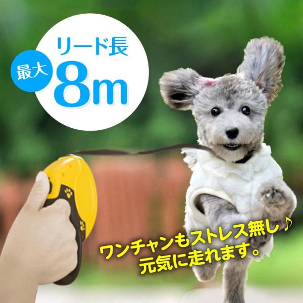 犬 リード 伸縮 8m 長い 散歩 小型犬 中型犬 大型犬 かわいい 犬用 自動巻き 丸紐