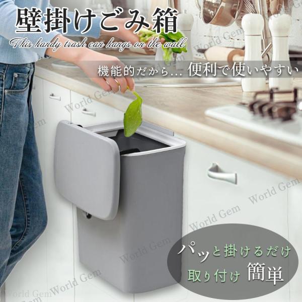 壁掛けゴミ箱 壁掛けごみ箱 蓋付き ふた付き キッチン 分別 収納 9L大容量 壁掛け ゴミ箱 おし...