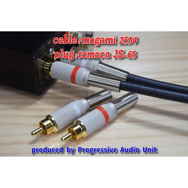 ★ mogami 2534＋金メッキプラグ（JS65）/0.45m×2本