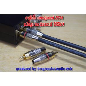 mogami 2534＋金メッキプラグ（NB01）/0.95m×2本｜progressive-a-unit