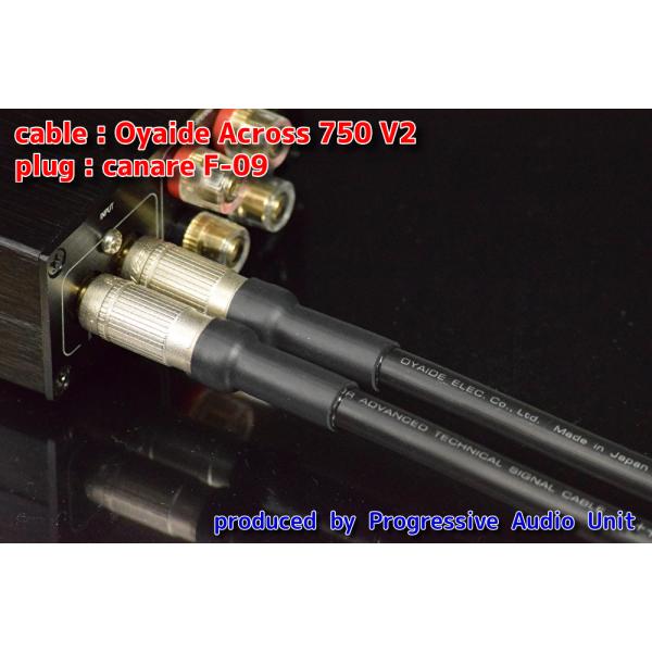 Oyaide Across 750 V2＋金メッキプラグ（CF09）/0.45m×2本