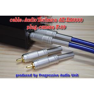 Audio Technica AT-EA1000＋金メッキプラグ（CF09）/0.45m×2本｜progressive-a-unit
