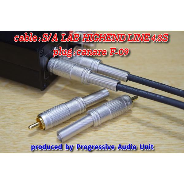 S/A LAB HLS＋金メッキプラグ（CF09）/0.70m×2本