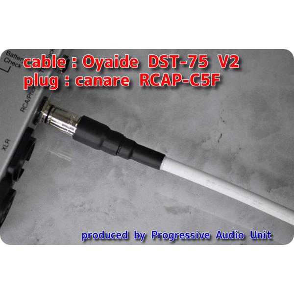 Oyaide DST75 V2+Canare(RCAP-C5F)/0.45m