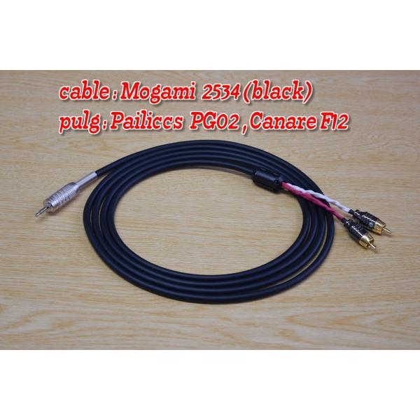 Pailiccs PG02(LR)+mogami2534(BK)+canare F12/0.95m