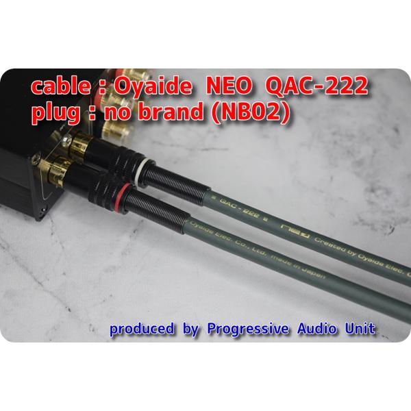 QAC-222＋金メッキプラグ（NB02）/0.70m×2本