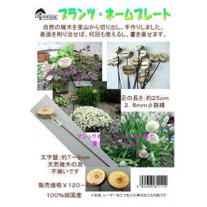 F3 プランツネームプレート花壇の花名札 F3 プロホビー アイコムショップ 通販 Yahoo ショッピング