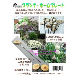 F3 プランツネームプレート花壇の花名札｜prohobby-shop