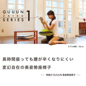 骨盤 姿勢矯正クッション チェア 座椅子 腰痛...の詳細画像1