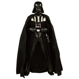 RAH DARTH VADER(TM)｜project1-6