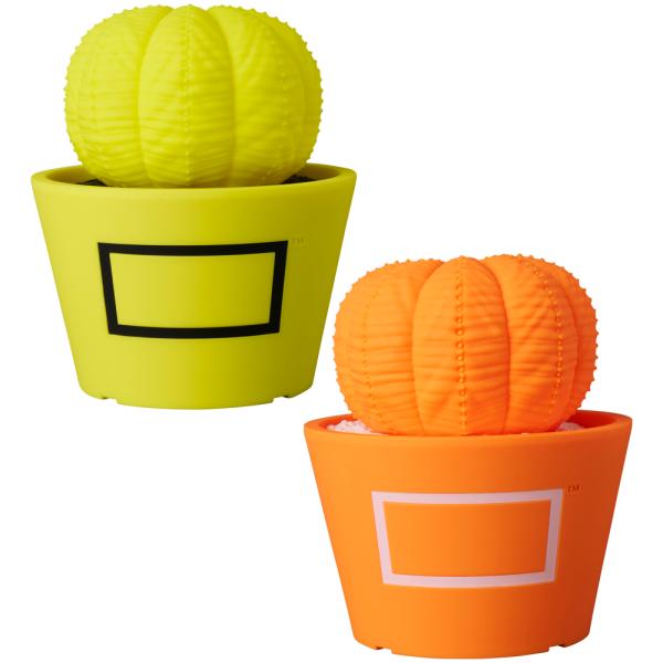 VCD Euphorbia obesa Fluorescent Yellow &amp; BLACK／ Fl...