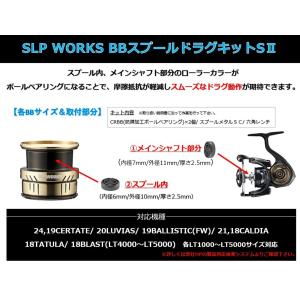 ダイワslpワークス(Daiwa Slp Wo...の詳細画像1