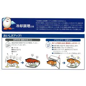 フクシマガリレイ・ブラストチラー/ショックフリ...の詳細画像3