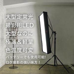 撮影用照明LEDライト_ロールフレックスLEDバイカラーRX-48TDX（ソフトボックス付）｜prokizai