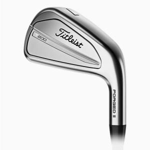 Titleist 200シリーズ アイアン　単品　48° NSPRO880AMC Titleist タイトリスト T200アイアン N.S.PRO 880 AMC ゴルフ アイアン